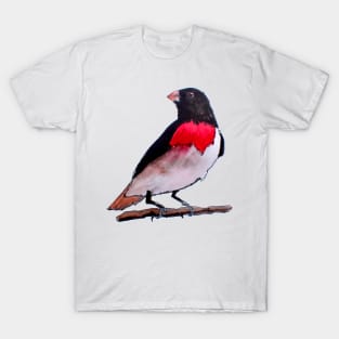 Rose Breasted Grosbeak Bird T-Shirt